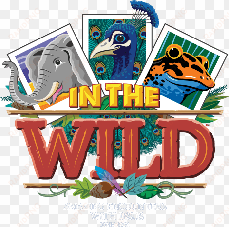 lifeway 2019 vbs theme