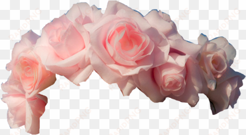 Light Pink Roses Flower Crown Transpa Png Image 218 - Pink Flower Crown Transparent transparent png image