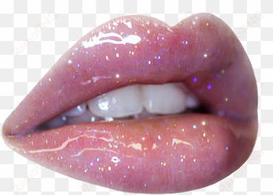 lime crime carousel lip gloss - lip gloss lips png