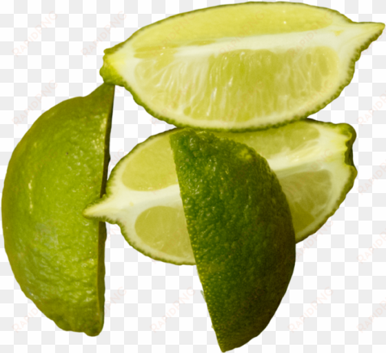 lime - persian lime