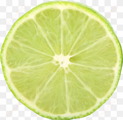 lime slice - lime