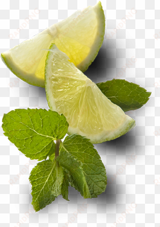 limeandmint - mint and lime png