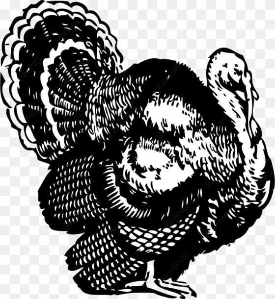 line drawing of turkey at getdrawings - turkey clipart black and white
