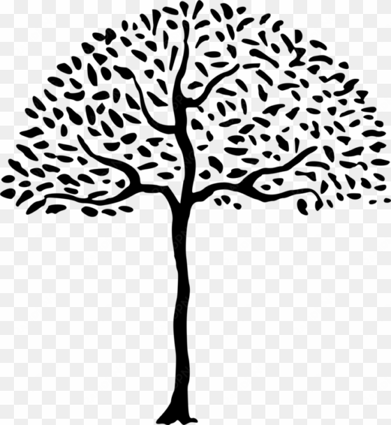 line & form branch drawing line and form - simple tree png
