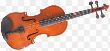 lines of credit - violin