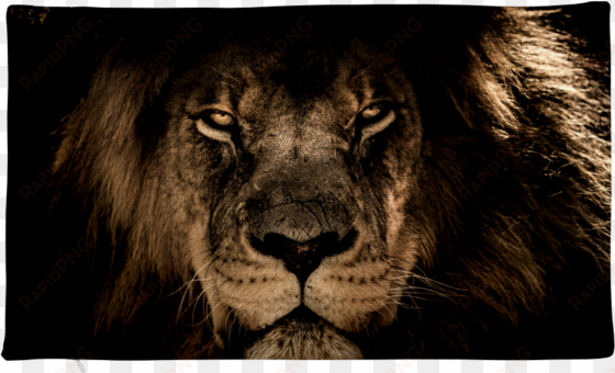 lion face pillow case - iphone wallpaper lion hd