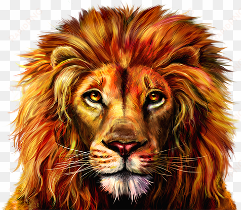 lion face png download - lion phoenix