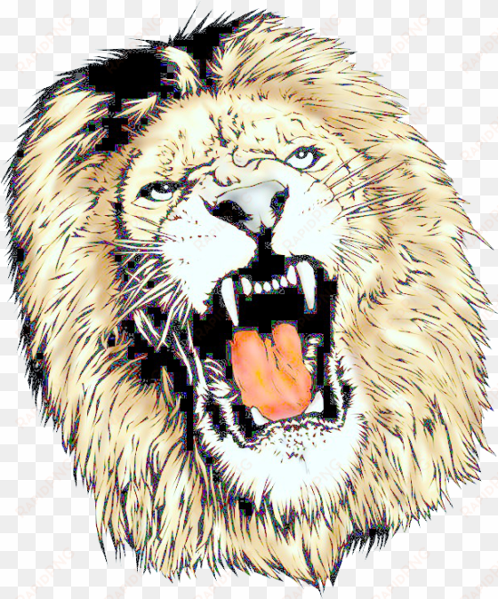 lion head png - lion transparent