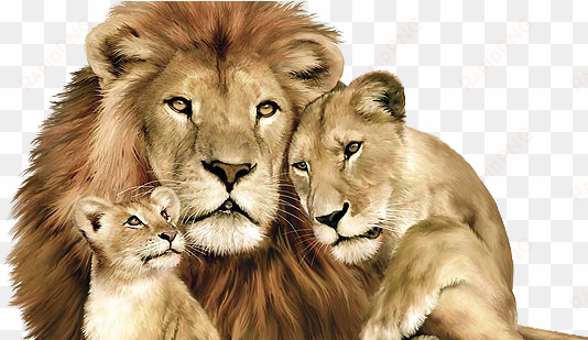 lions pride of awsome - lion lioness and cub
