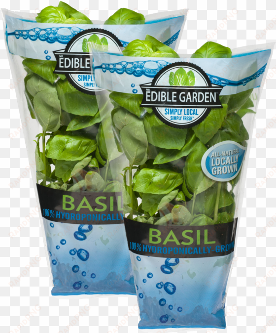 living basil - hydroponic basil in bag