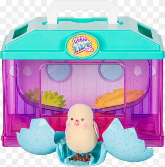 llp baby chick house s - toy