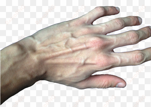 lmao hands weheartit fingers png transparent veins - transparent hands