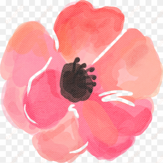 load 4 more imagesgrid view - poppy