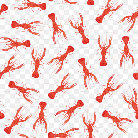 Lobster transparent png image