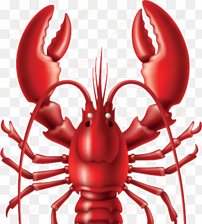 Lobster Png - Lobster Wallpaper Hd transparent png image