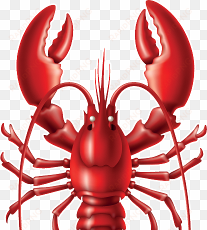 lobster png - lobster wallpaper hd