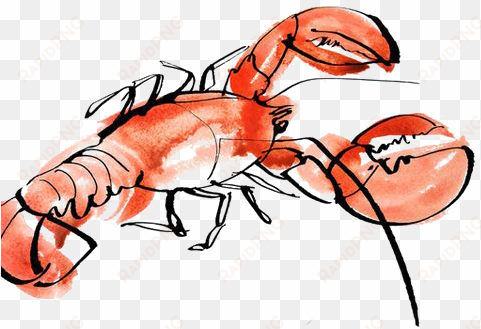 lobster seafood painting illustration - lobster art