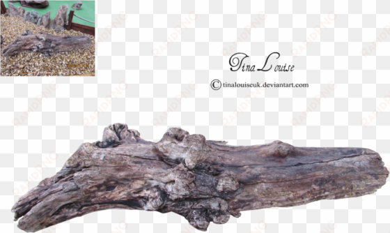 LOG PNG IMAGE - TREE LOG PNG.PNG Log Png Image - Tree Log Png transparent png image