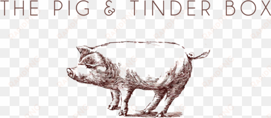 logo - pig and tinder box