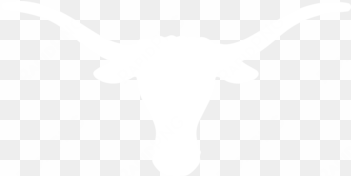 longhorns texas - texas longhorns