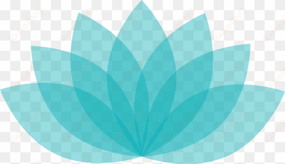 lotus, blue lotus, blossom, graphic, illustrator - women's retreat