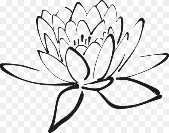lotus-flower - lotus flower black and white clipart