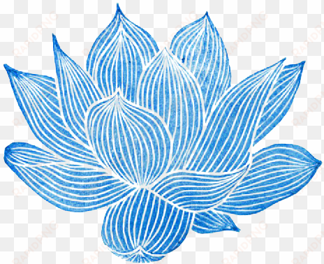 lotus flower transparent