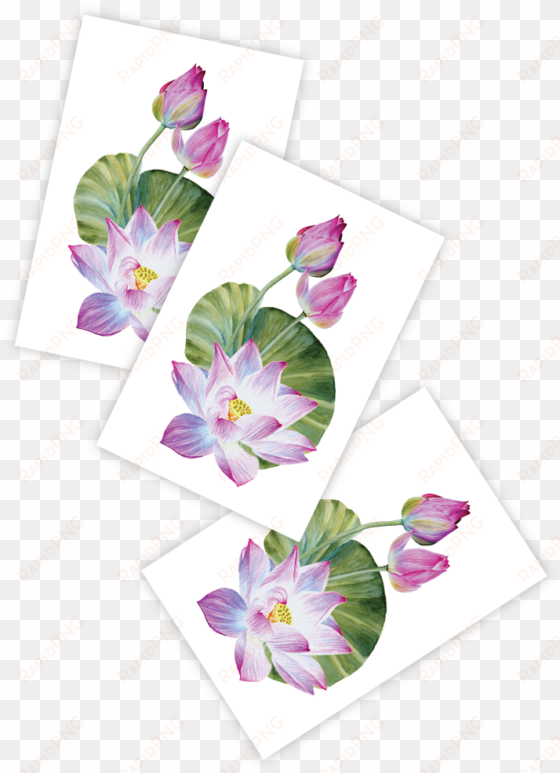 lotus - greeting card