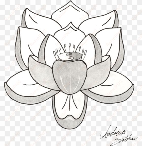 lotus tattoos png picture - tattoo