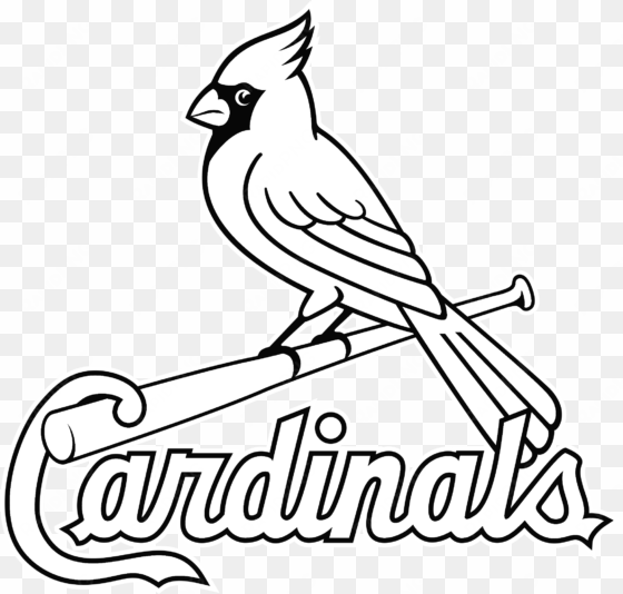 louis cardinals logo black and white - st louis cardinals coloring pages