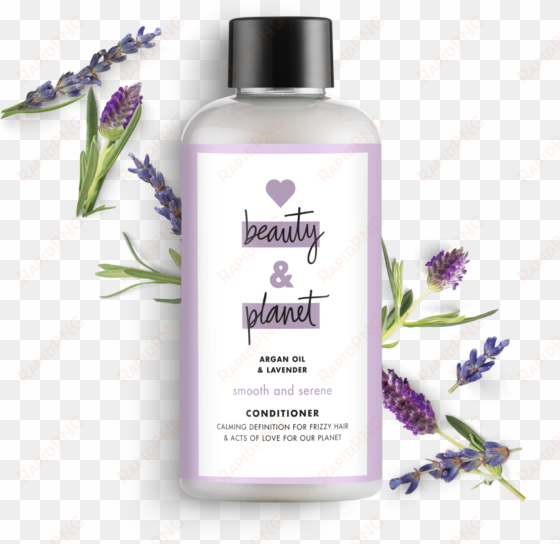 love beauty and planet lavender