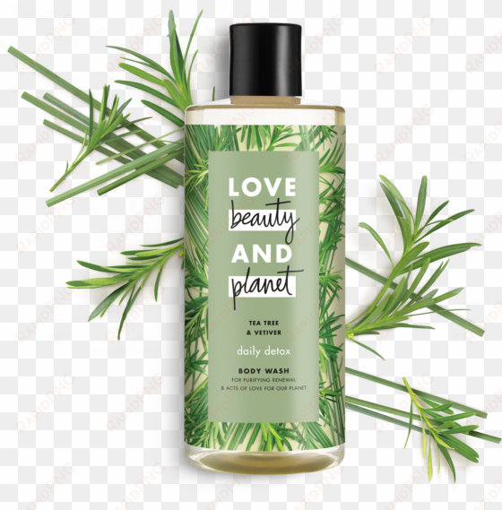 Love Beauty And Planet Rosemary & Vetiver Shower Gel - Love Beauty And Planet Shampoo Review transparent png image