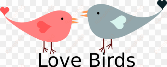 love birds valentine svg clip arts 600 x 243 px