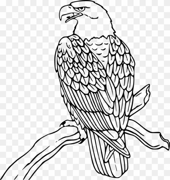 love wood clipart eagle - eagle black and white clip art