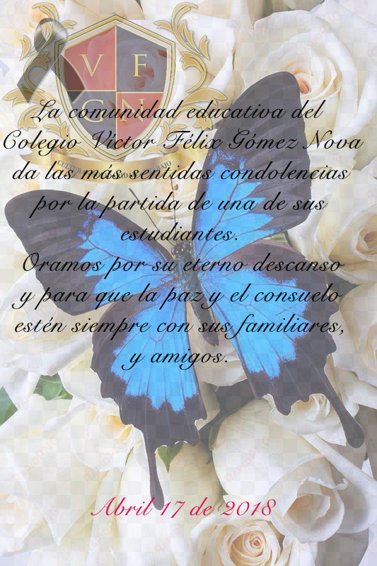 luto colegio - blue butterfly with flower