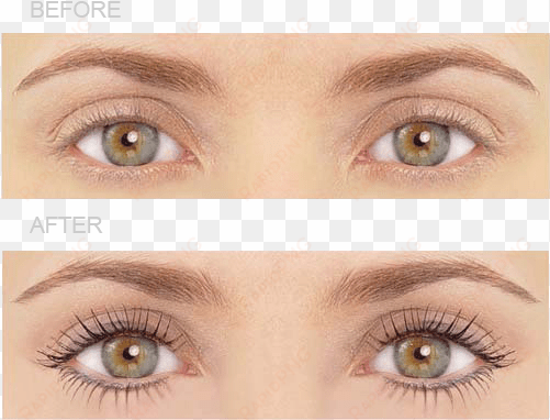 lvl-lashes - lvl lashes