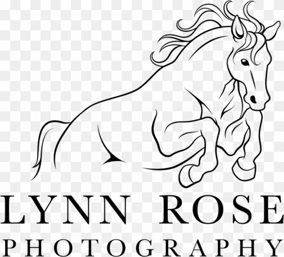 lynn rose black - portable network graphics