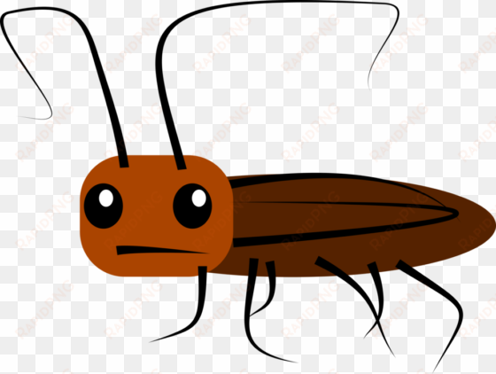 madagascar hissing cockroach drawing cartoon oriental - cockroach clipart