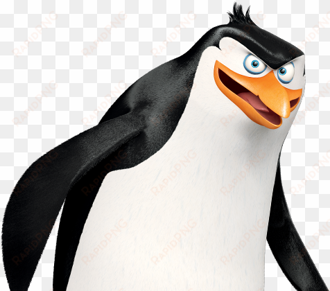 madagascar penguins png - the penguins of madagascar