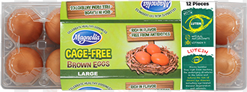 magnolia cage-free brown eggs - egg