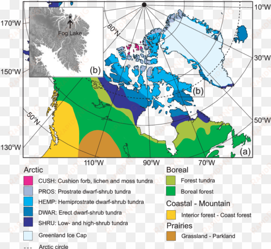 main vegetation zones (or biomes) of northern north - canada map magnet chart