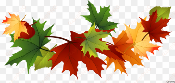 majestic autumn clipart fall leaves clip art - fall leaves transparent background
