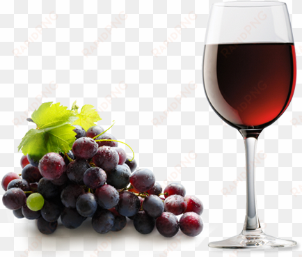 major wine grape and wine flavors picture library library - glass grapes wine png