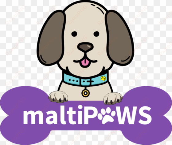 Maltipaws - Dog transparent png image