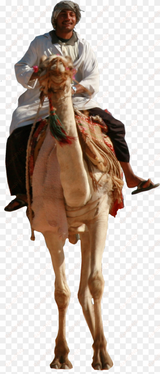 man riding camel by liber - man riding a camel png