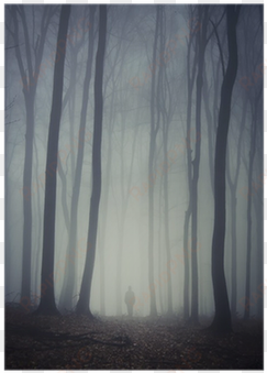 man walking on path through spooky dark forest poster - still life