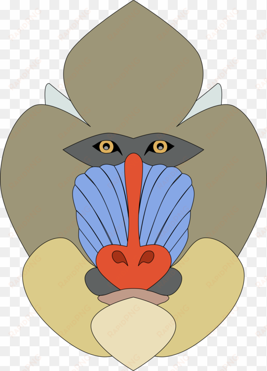 mandrill primate ape drawing monkey - mandrill clipart