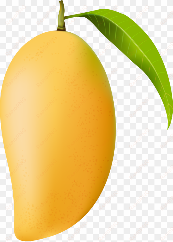 mango png clip art image - mango clipart png