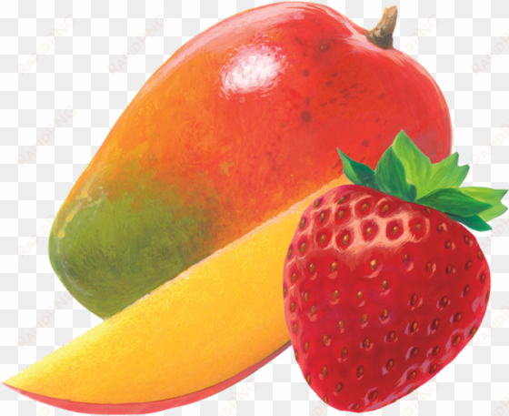 mango strawberry bar case - nutraplex mango strawberry bar - 12 count, 1.94oz bar