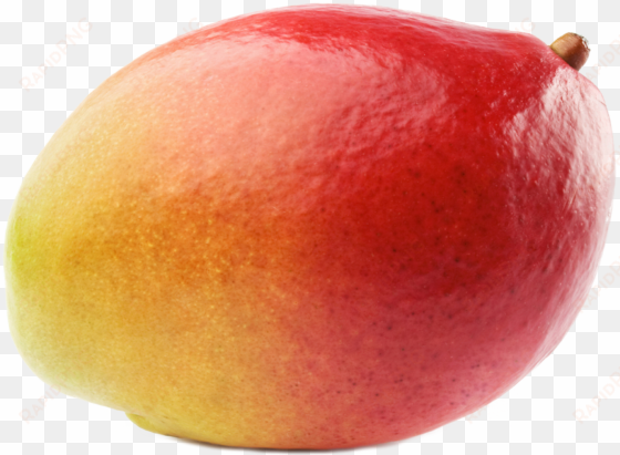 mango transparent background